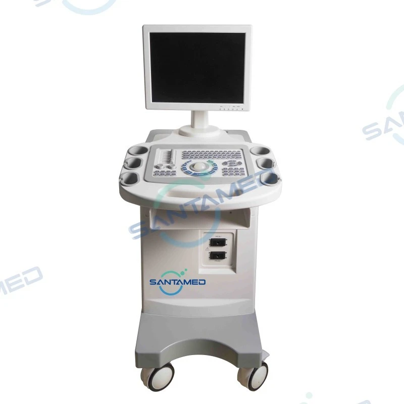 Trolley Black and White Ultrasound Diagnostic System